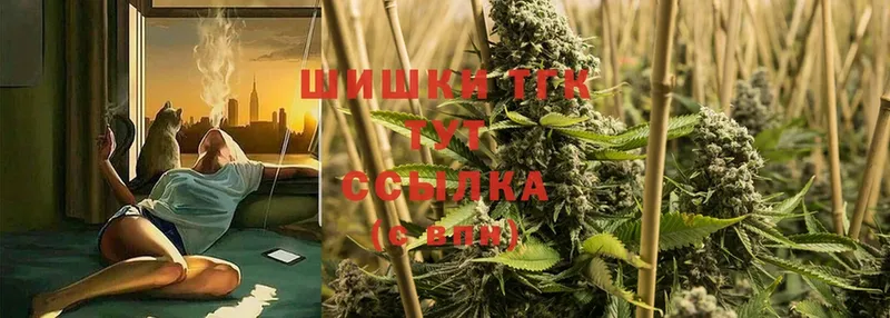 shop Telegram  Пучеж  Марихуана SATIVA & INDICA 